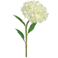 Hydrangea Leaves Cream - Adams Furniture