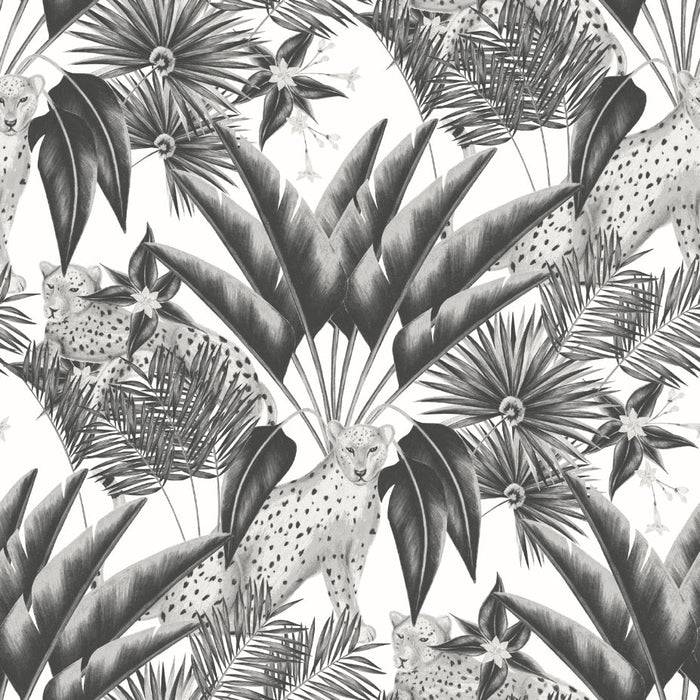 Jungle Cheetah Wallpaper - Ohpopsi - Raven