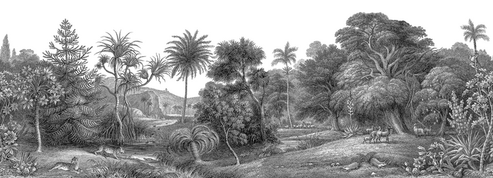 Jungle Land - Desolate - Custom Sized Wallpaper Mural (per m2)