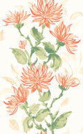 Kiku Wallpaper - Ohpopsi - Coral