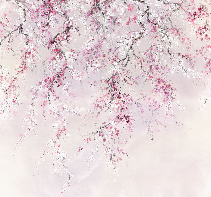 Kirschblüten - Custom Sized Mural Wallpaper (per m2)