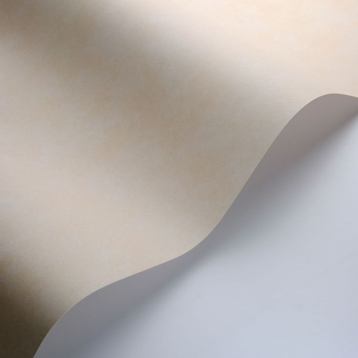 La Bastide Wallpaper - White Olive