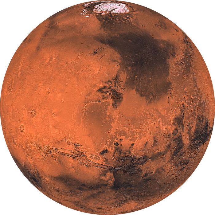 Mars - Circular Mural - Self Adhesive