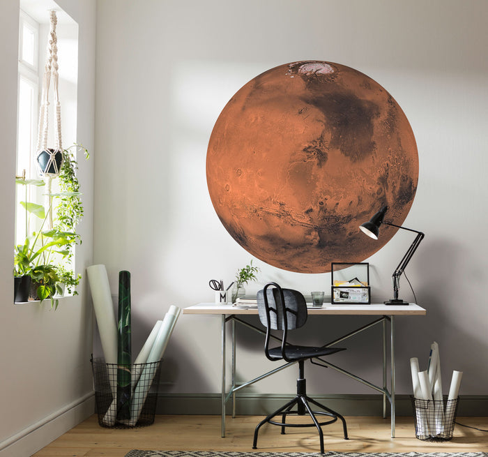 Mars - Circular Mural - Self Adhesive