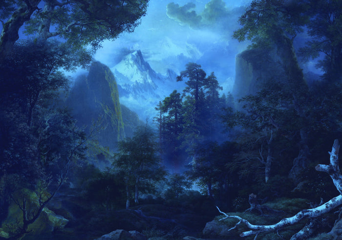 Midnight - Custom Sized Mural Wallpaper (per m2)