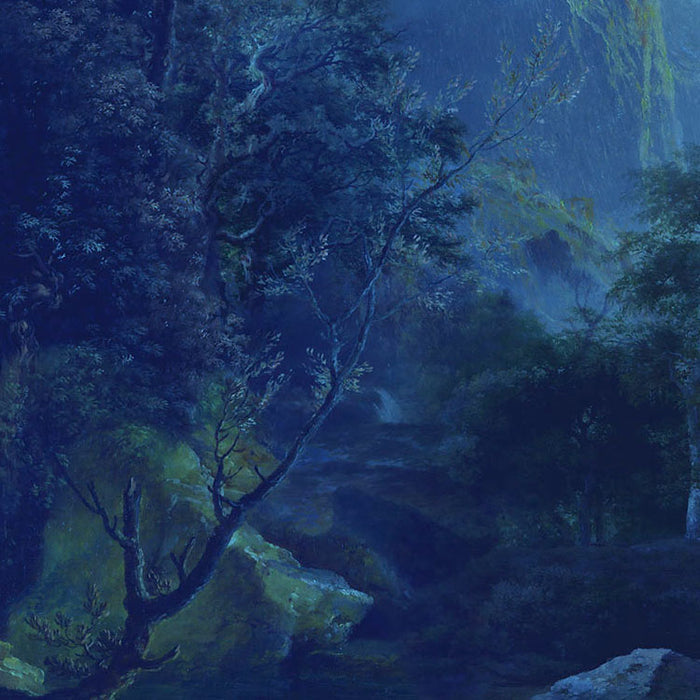 Midnight - Custom Sized Mural Wallpaper (per m2)