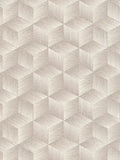 Modern Cubes - Geometric Wallpaper - Greige