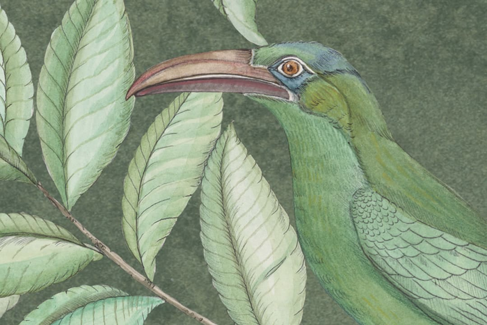 Monkey Paradise - Sage Green - Custom Sized Wallpaper Mural (per m2)