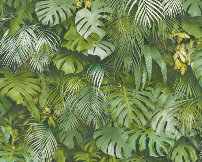 Monstera Jungle Wallpaper - Green - Peel and Stick