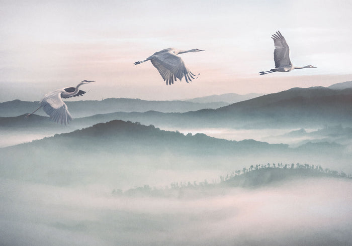 Mystic Cranes - Custom Sized Mural Wallpaper (per m2)