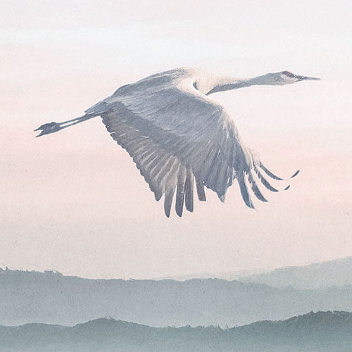 Mystic Cranes - Custom Sized Mural Wallpaper (per m2)