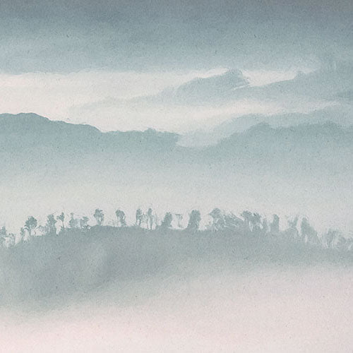 Mystic Cranes - Custom Sized Mural Wallpaper (per m2)