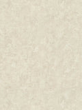 Natural Living Plains Wallpaper - Champagne