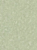 Natural Living Plains Wallpaper - Green