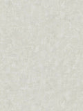 Natural Living Plains Wallpaper - Silvergrey