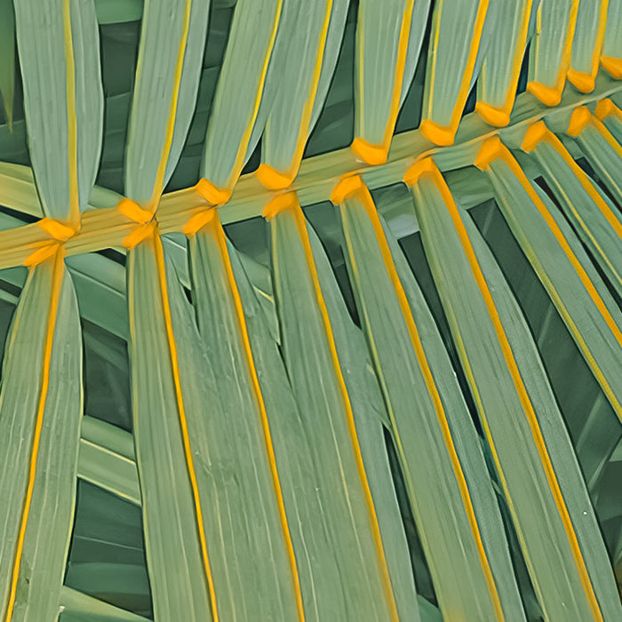 Neon Ferns - Custom Sized Wallpaper Mural (per m2)