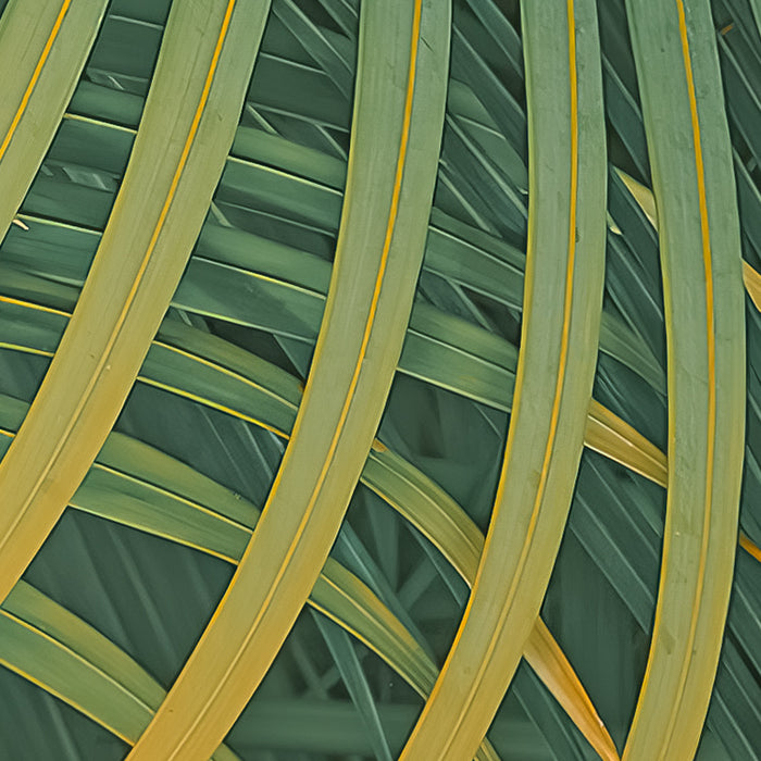 Neon Ferns - Custom Sized Wallpaper Mural (per m2)