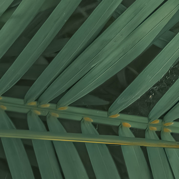 Neon Ferns - Custom Sized Wallpaper Mural (per m2)