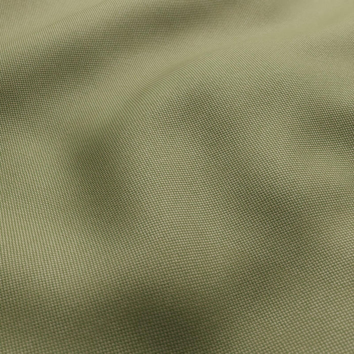 Palm