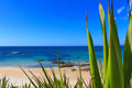 NZ Scenery - Ahipara Beach - Custom Sized Wallpaper Mural (per m2)