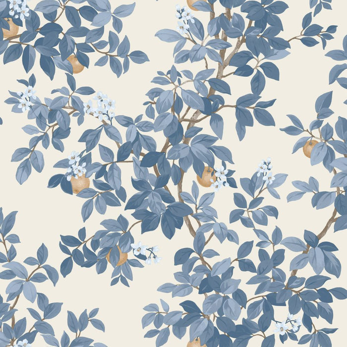 Orange Tree – Citrus Blossom Wallpaper – Blue White