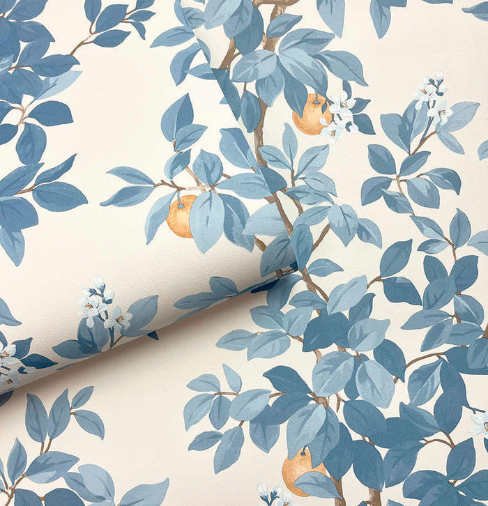 Orange Tree – Citrus Blossom Wallpaper – Blue White
