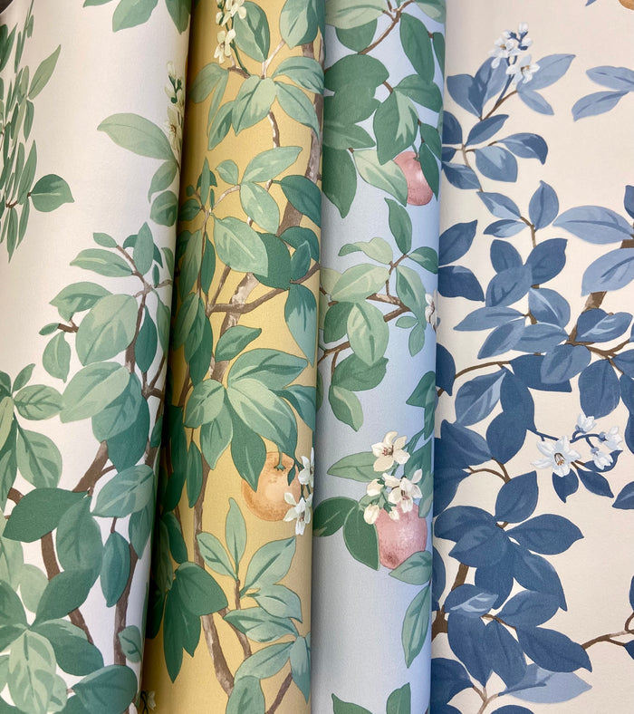 Orange Tree – Citrus Blossom Wallpaper – Blue White