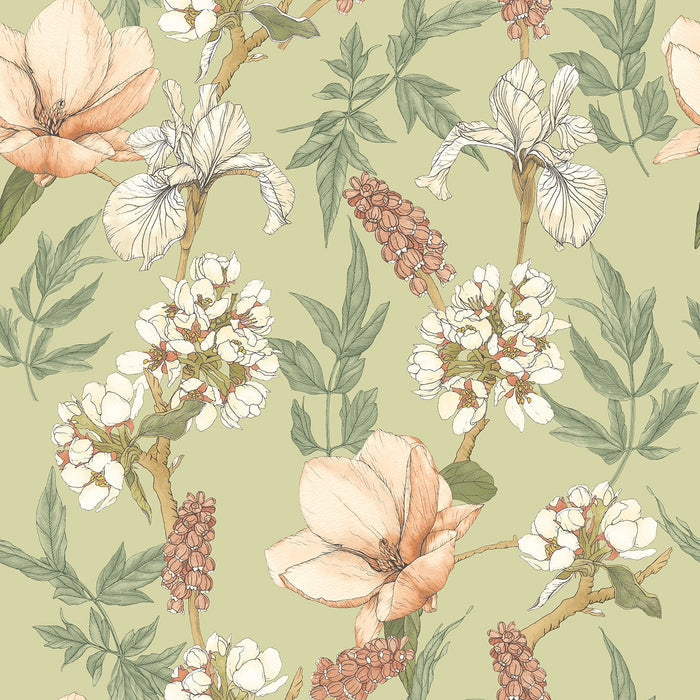 Orchid Bloom Wallpaper - Artichoke
