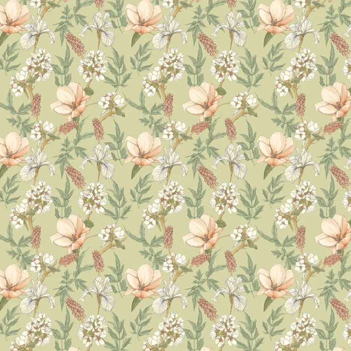 Orchid Bloom Wallpaper - Artichoke