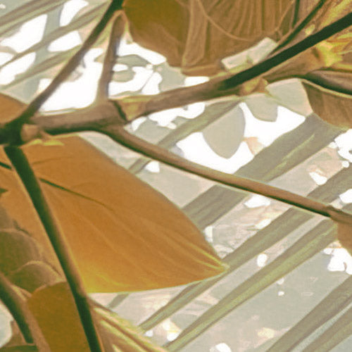 Palms Panorama - Custom Sized Wallpaper Mural (per m2)