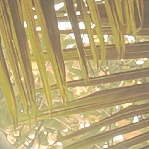 Palms Panorama - Custom Sized Wallpaper Mural (per m2)