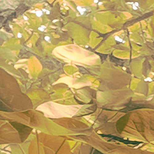 Palms Panorama - Custom Sized Wallpaper Mural (per m2)