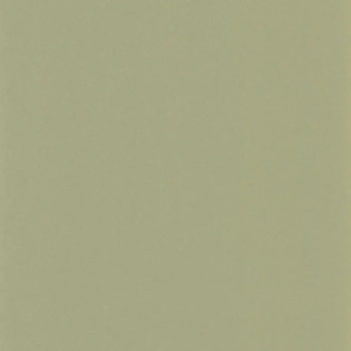 Pigments Wallpaper - Argile Verte