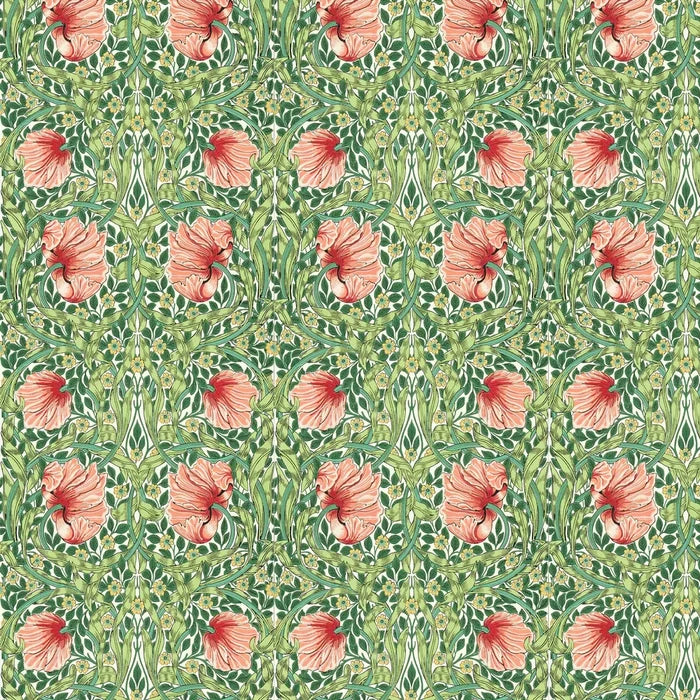 Pimpernel Wallpaper - Shamrock/Watermelon