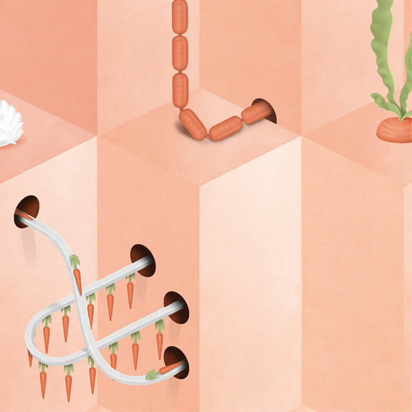 Pink Carrot Wallpaper Mural {per m2}