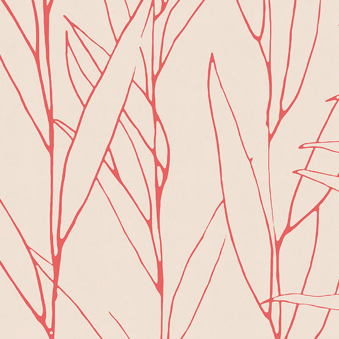 Plain - Custom Sized Mural Wallpaper (per m2)