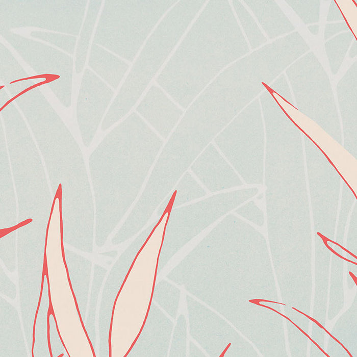 Plain - Custom Sized Mural Wallpaper (per m2)