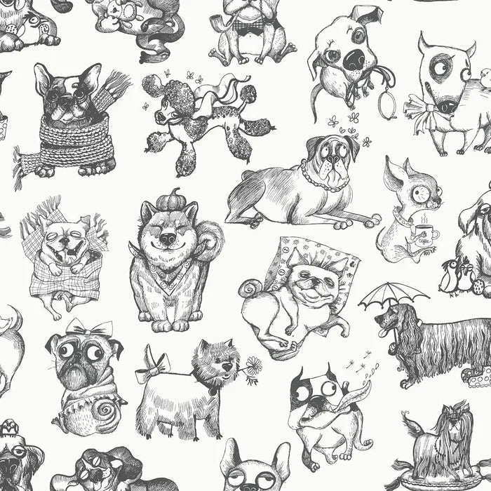 Pooches Wallpaper