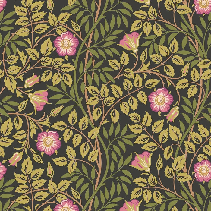 Rosehip Trail Wallpaper - Ohpopsi - Aubergine