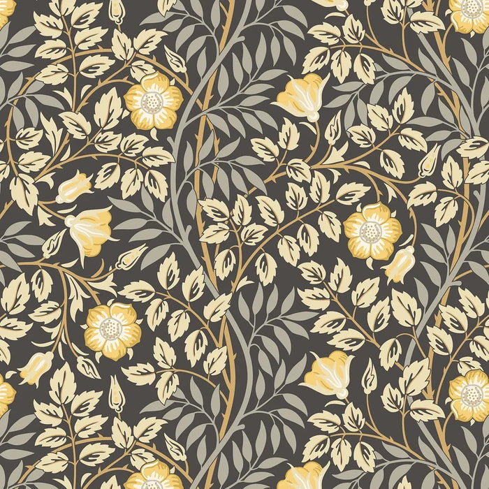 Rosehip Trail Wallpaper - Ohpopsi - Chalkboard