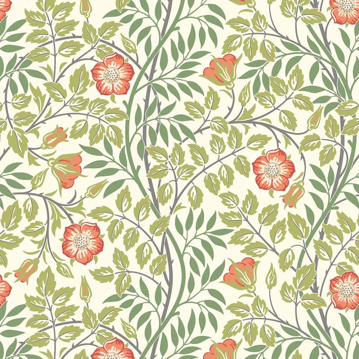 Rosehip Trail Wallpaper - Ohpopsi - Coral Pink