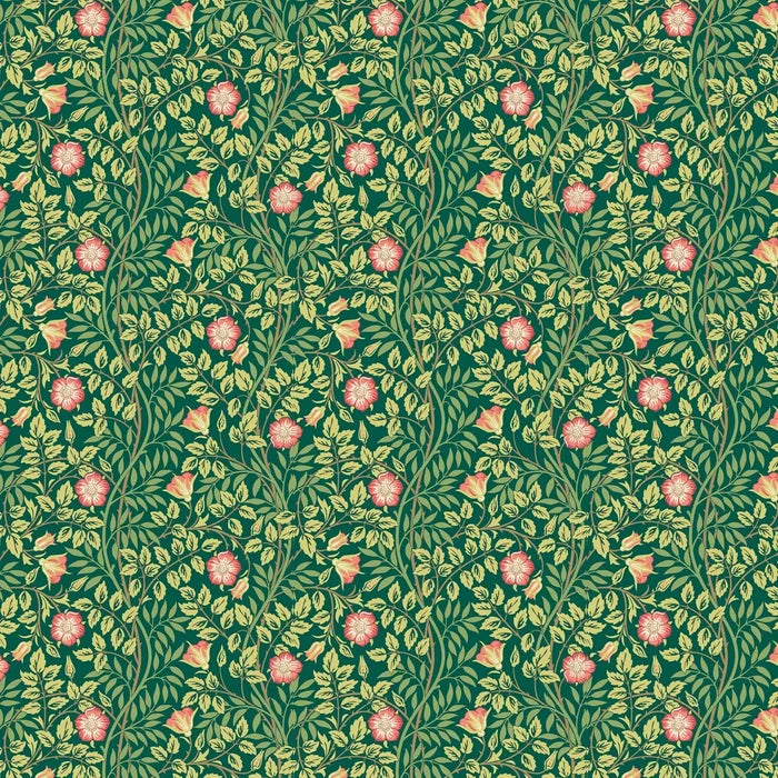 Rosehip Trail Wallpaper - Ohpopsi - Forest Green