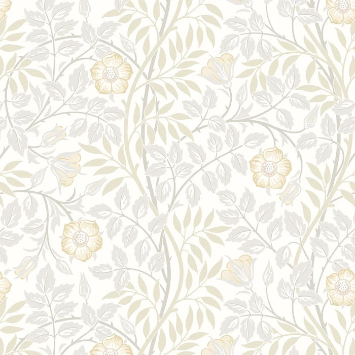 Rosehip Trail Wallpaper - Ohpopsi - Natural Stone