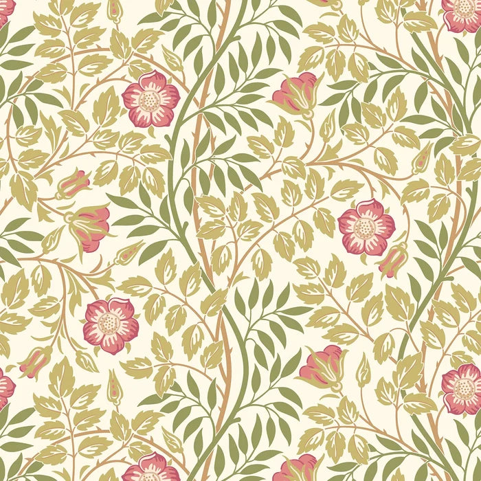 Rosehip Trail Wallpaper - Ohpopsi - Rose Pink