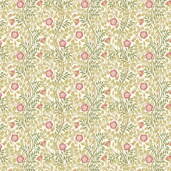 Rosehip Trail Wallpaper - Ohpopsi - Rose Pink