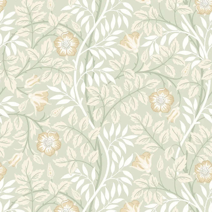 Rosehip Trail Wallpaper - Ohpopsi - Sage Green