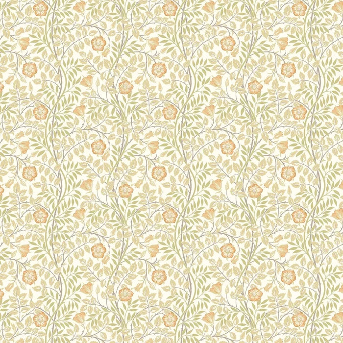 Rosehip Trail Wallpaper - Ohpopsi - Soft Amber