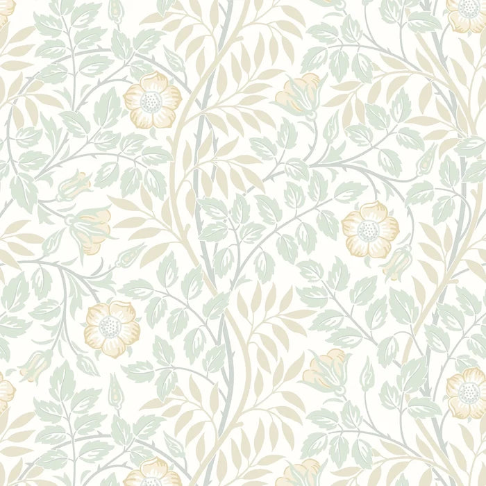 Rosehip Trail Wallpaper - Ohpopsi - Soft Mint