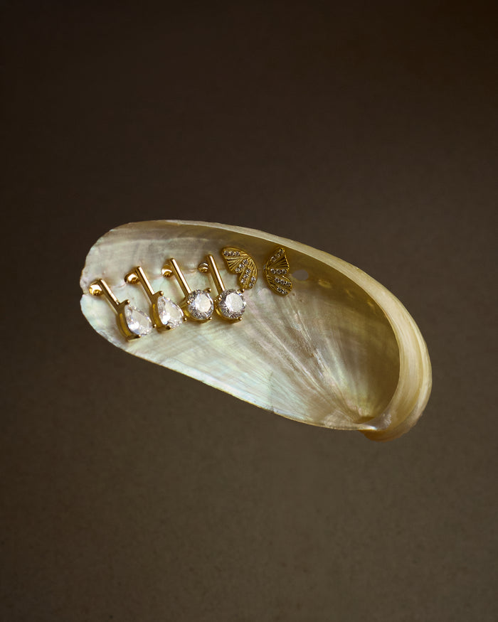 Gold ring with diamonds on a shell against a dark background