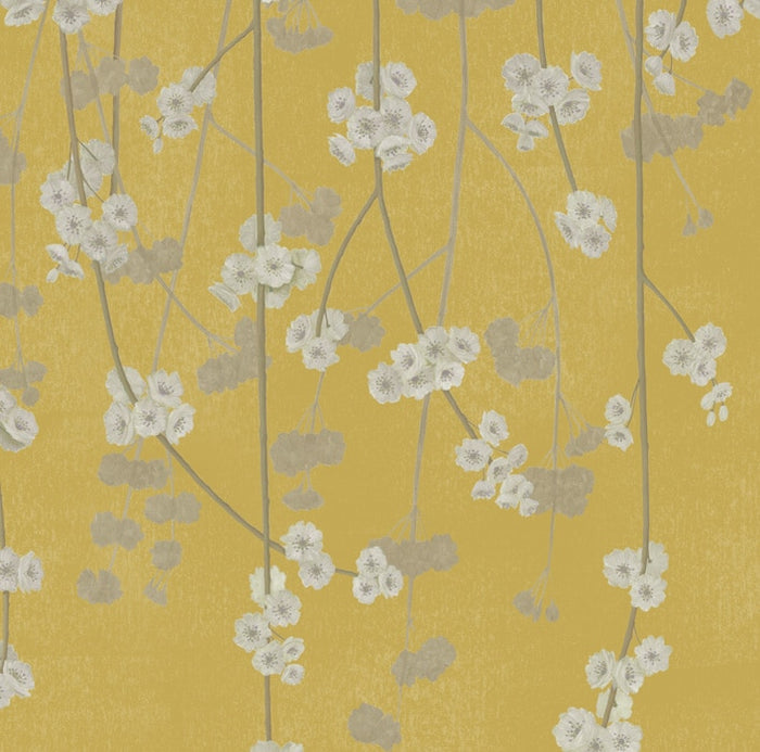 Sample - Cherry Blossom Wallpaper - Apple